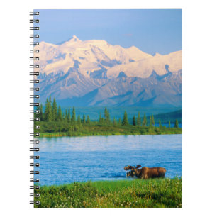 Cuaderno Alce macho en Wonder Lake