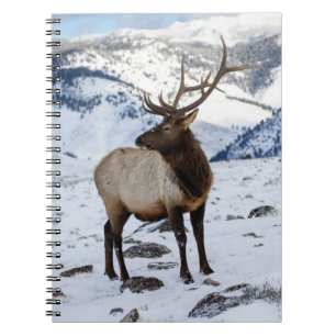 Cuaderno Alce macho solitario en la nieve Parque Nacional