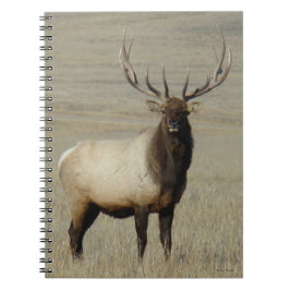 Cuaderno Alce toro grande E46