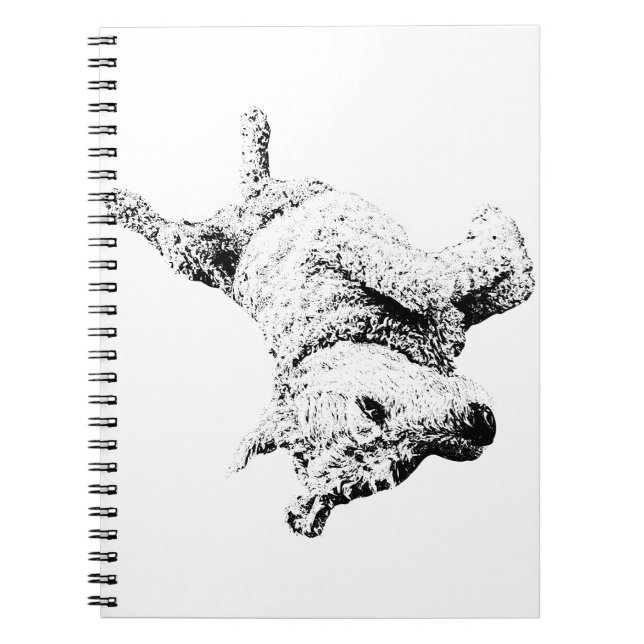 Cuaderno Alegría en cada línea (Frente)