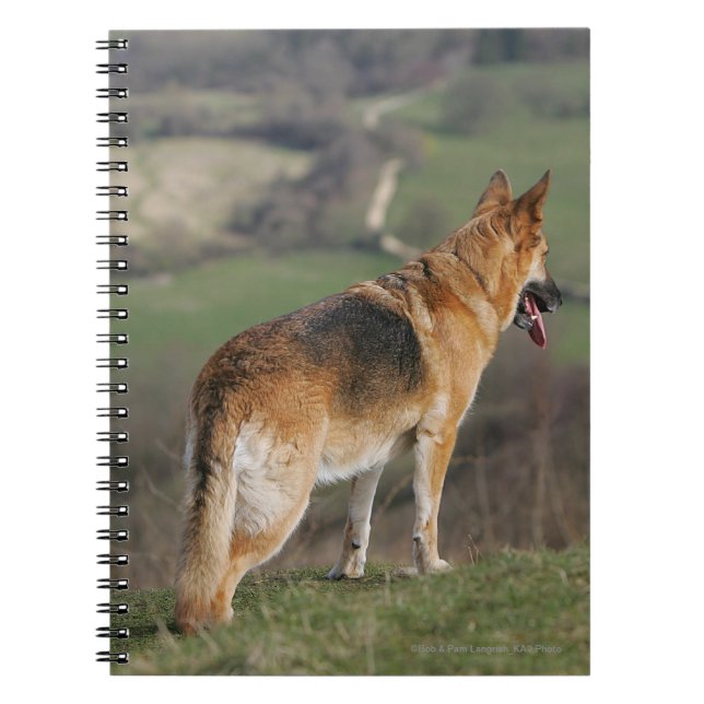 Cuaderno Alemán Shephard que mira abajo de la colina (Frente)