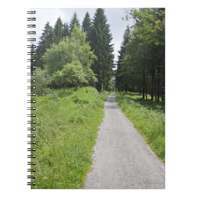 Cuaderno Alemania, Thuringia, trayectoria en bosque (Frente)