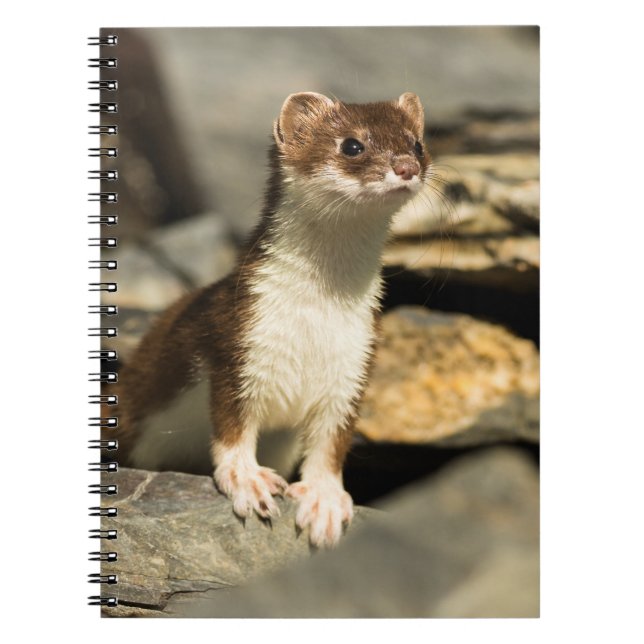 Cuaderno Alert Weasel (Frente)