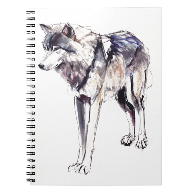 Cuaderno Alfa (Frente)