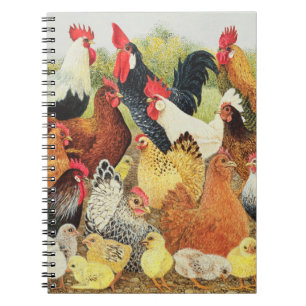 Cuaderno Algo cantar alrededor