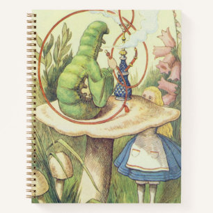 Cuaderno Alice se reúne con la oruga