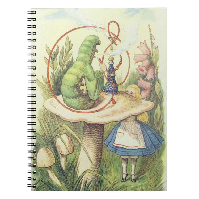 Cuaderno Alice se reúne con la oruga (Frente)