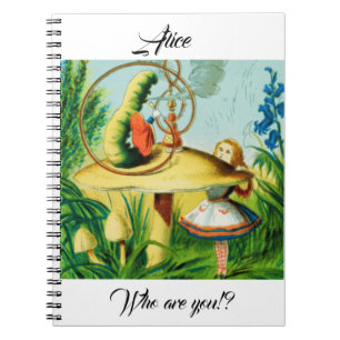 Cuaderno Alicia en el país de las maravillas - hongo, senta