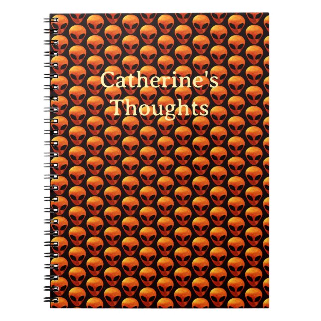 Cuaderno Alienígenas de Cobre (Frente)