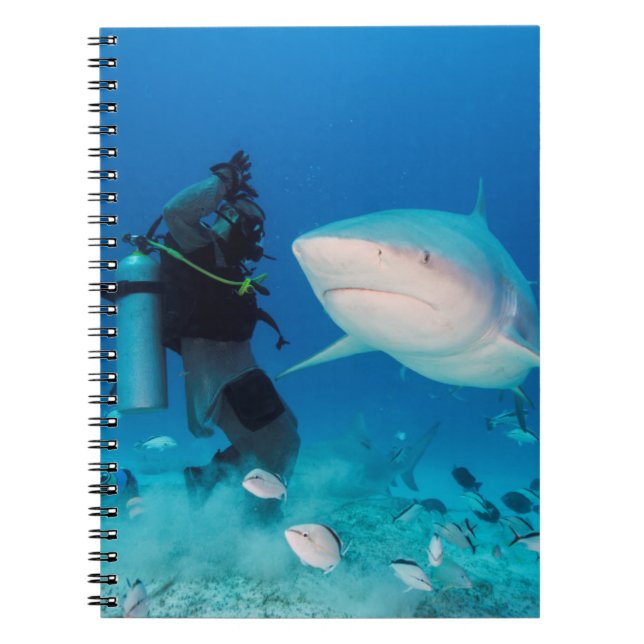 Cuaderno Alimentación de la Bull (Frente)