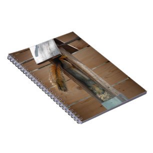 Cuaderno Alimentador de pájaros de raspadura de ardilla