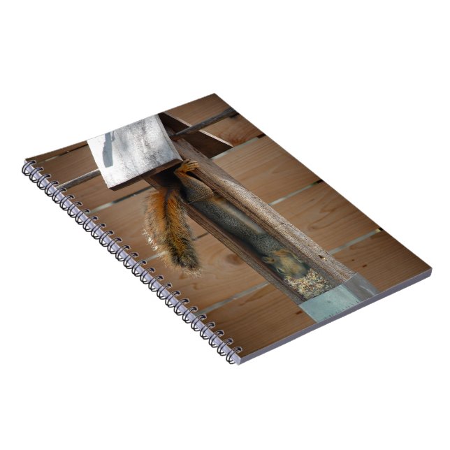 Cuaderno Alimentador de pájaros de raspadura de ardilla (Lado Derecho)