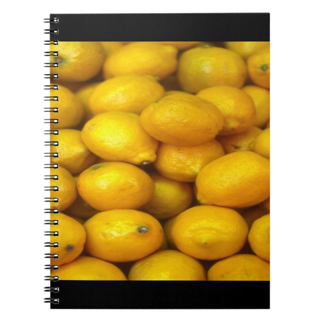 Cuaderno Alimento (Frente)
