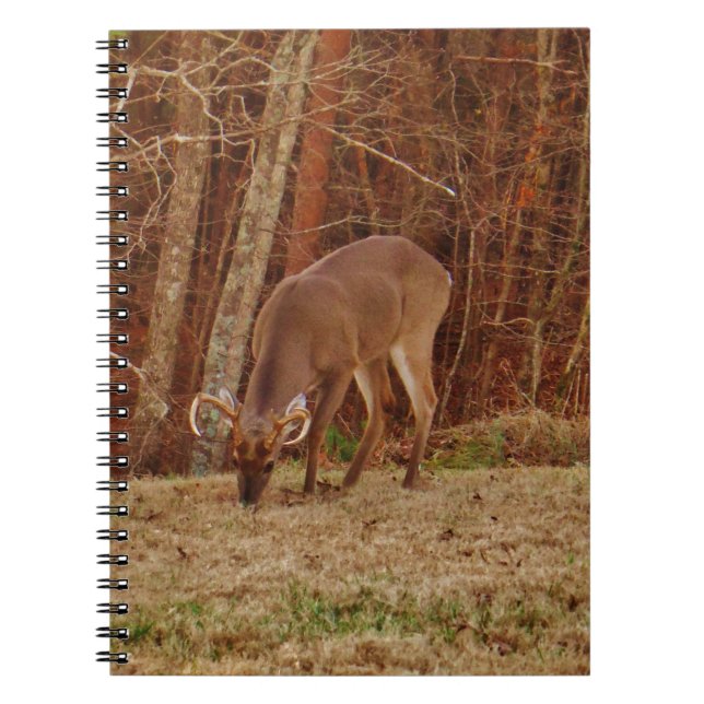 Cuaderno Alimento de ciervos de buck de camuflaje rojo (Frente)