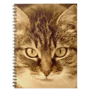 Cuaderno alineado espiral del diario de los
