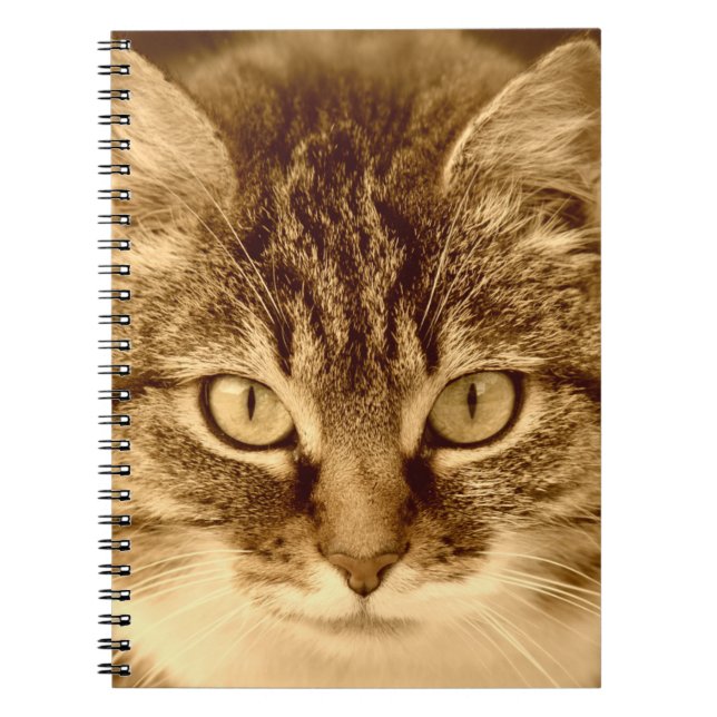 Cuaderno alineado espiral del diario de los (Frente)