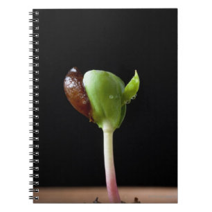 Cuaderno Almácigos de Apple con la cáscara de la semilla