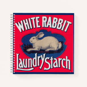 Cuaderno Almidón de lavado de conejo blanco
