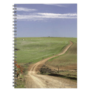 Cuaderno Áloe floreciente cerca de Caledon, Western Cape
