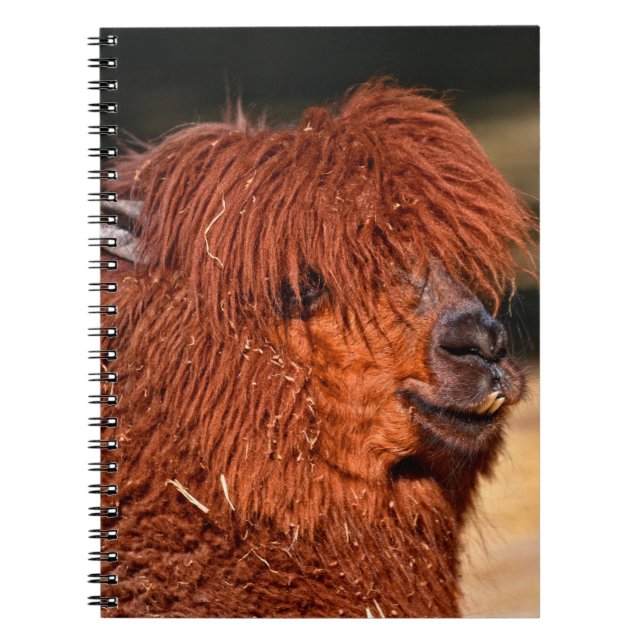 Cuaderno Alpaca (Frente)