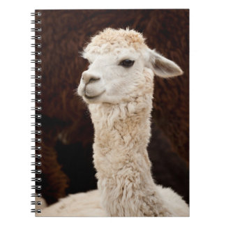 Cuaderno Alpaca