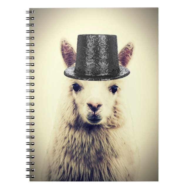Cuaderno Alpaca con sombrero de copa (Frente)