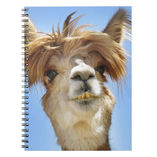 Cuaderno Alpaca loca del pelo (Frente)