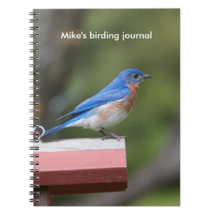 Cuaderno Alumnaina