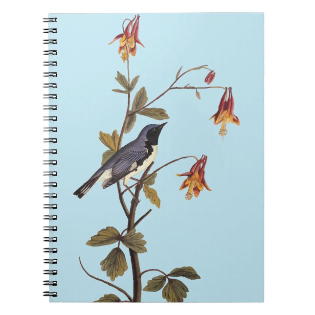 Cuaderno Alumnos Audubon de la guirnalda azul de garganta n (Frente)