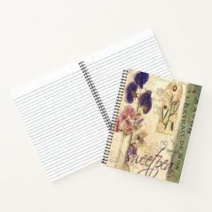 Cuaderno Alverja dulce antigua