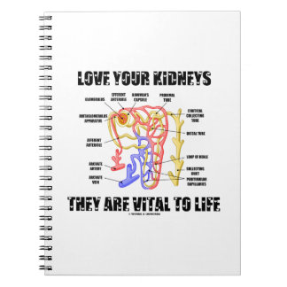 Cuaderno Ama Tus Riñones Son Vitales Para La Vida (Nephron)