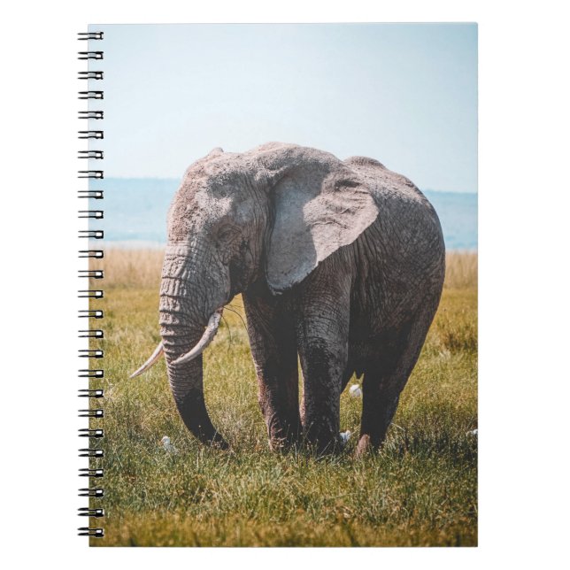 CUADERNO AMABLE ELEFANTE (Frente)