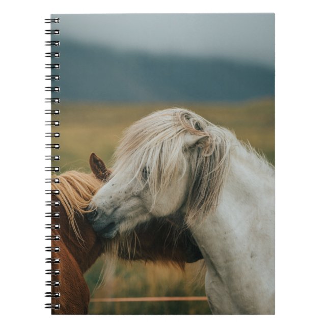 CUADERNO AMABLE PAREJA DE CABALLOS (Frente)