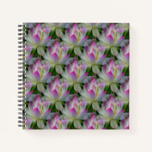 Cuaderno Amando Lotus...