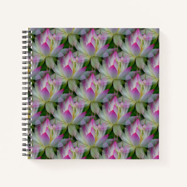 Cuaderno Amando Lotus... (Anverso)