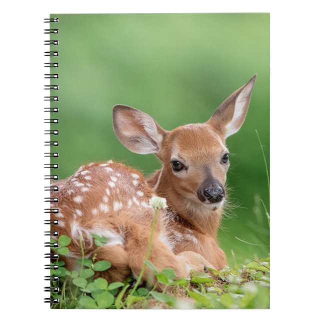 Cuaderno Amanecer Adorable tendido bajo un árbol (Frente)