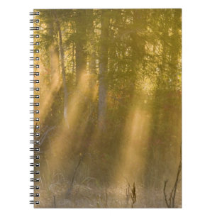 Cuaderno Amanecer brumoso en Tamarac NWR cerca de Detroit L