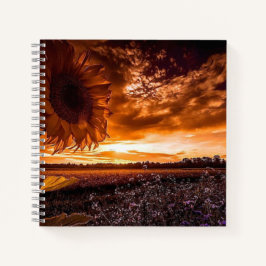 Cuaderno Amanecer de verano