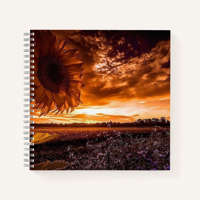 Cuaderno Amanecer de verano (Anverso)