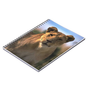 Cuaderno Amantes de los Leones