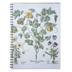 Cuaderno Amapola de cuernos amarilla, del 'Hortus