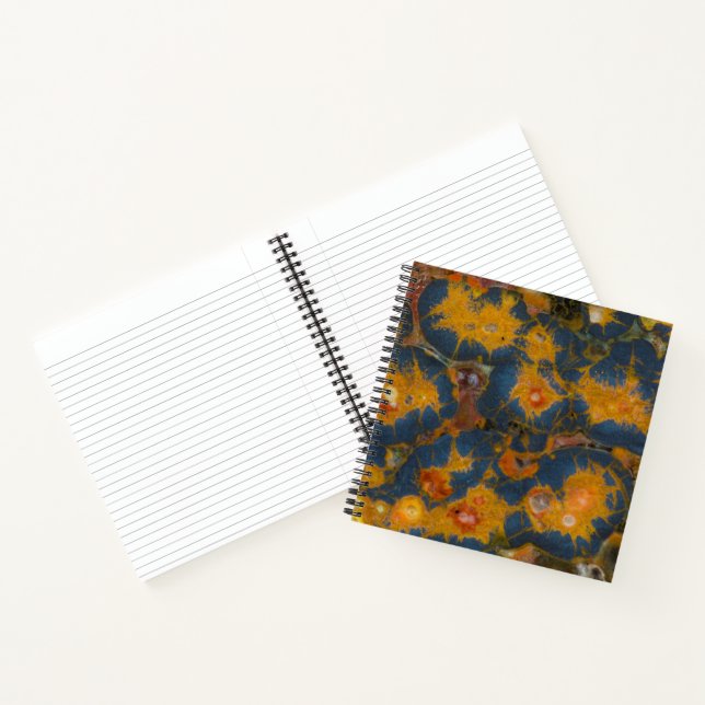 Cuaderno Amapola de Jasper (Interior)