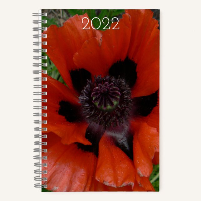Cuaderno amapola oriental     (Anverso)