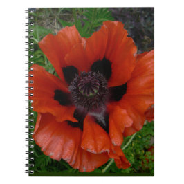 Cuaderno amapola oriental