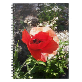 Cuaderno Amapola roja