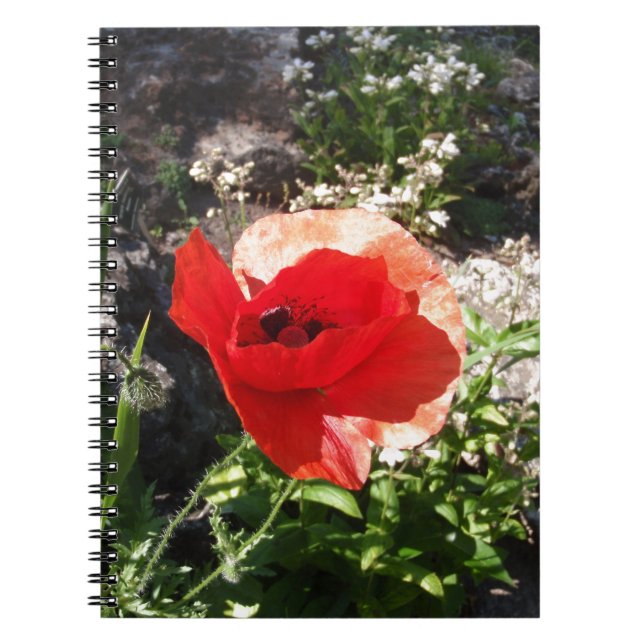 Cuaderno Amapola roja (Frente)