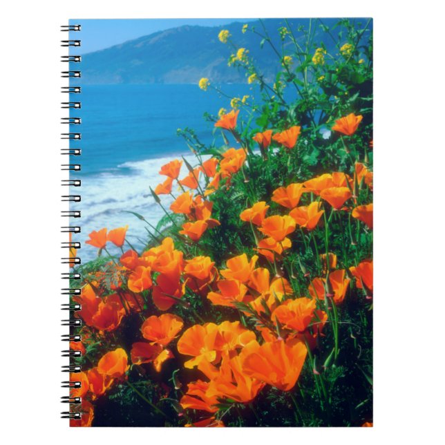 Cuaderno Amapolas a lo largo de la Costa Pacífica cerca de  (Frente)