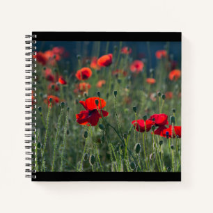 Cuaderno Amapolas Bonitas en Foto de Prado Salvaje