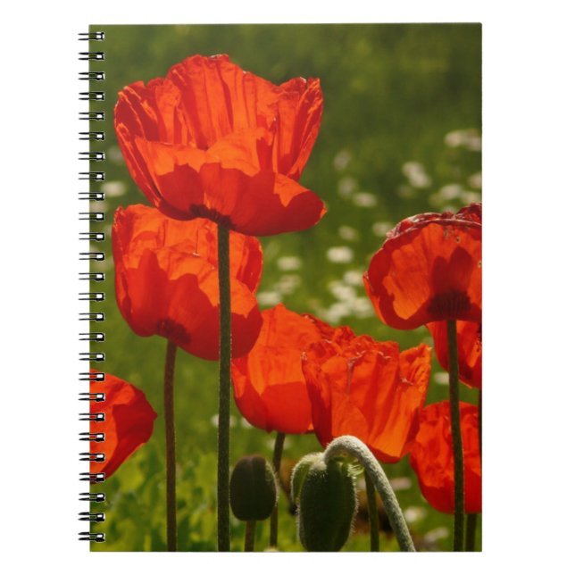 Cuaderno Amapolas brillantes (Frente)