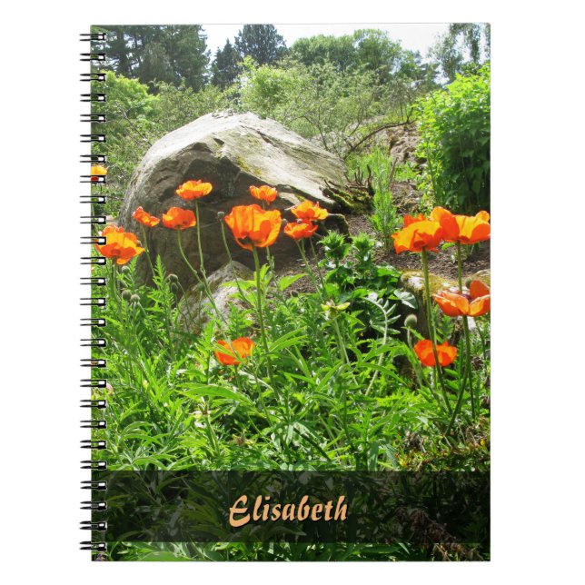 Cuaderno Amapolas enormes de la primavera del parque de la (Frente)